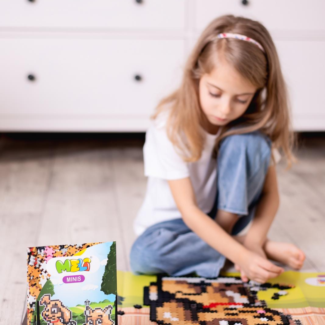 Bloques Meli Minis Friends 2 en 1