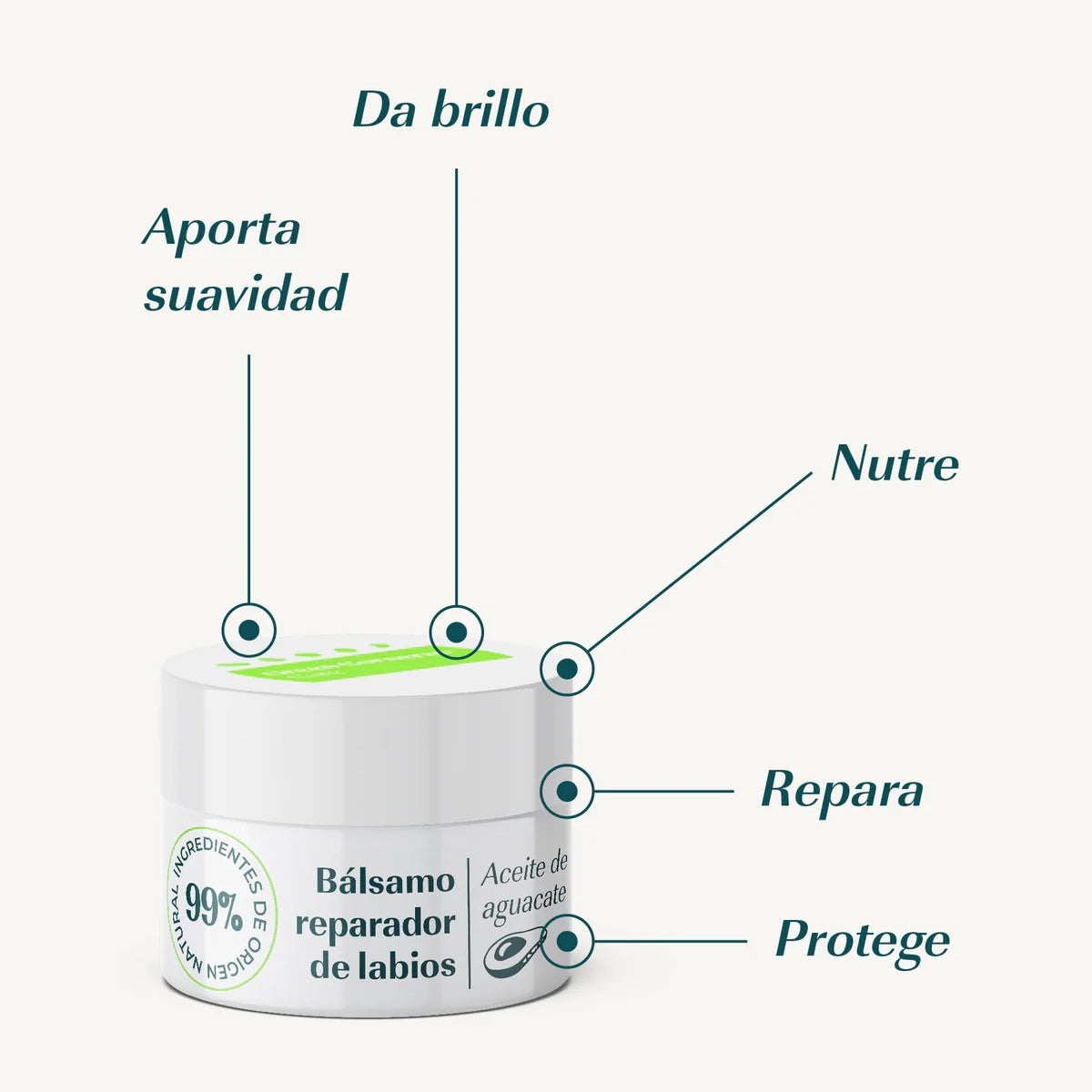 Bálsamo labial reparador con aguacate - Green Cornerss