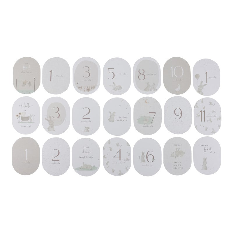Tarjetas Milestone Baby Bunny Little Dutch