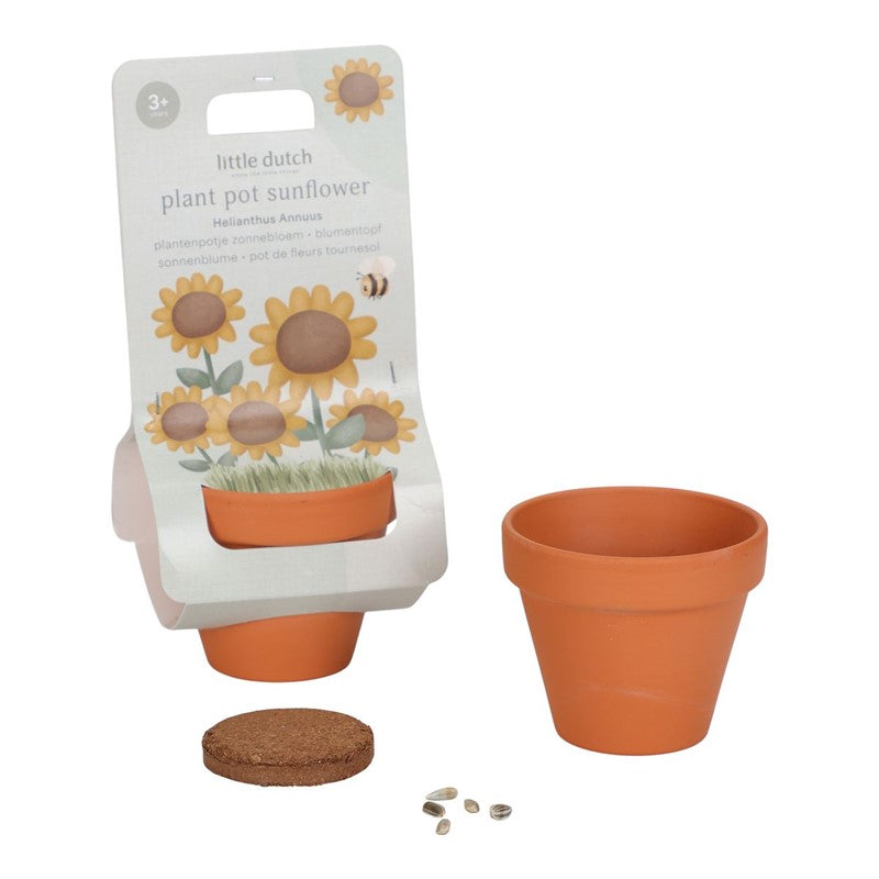 Maceta planta un girasol Little Dutch