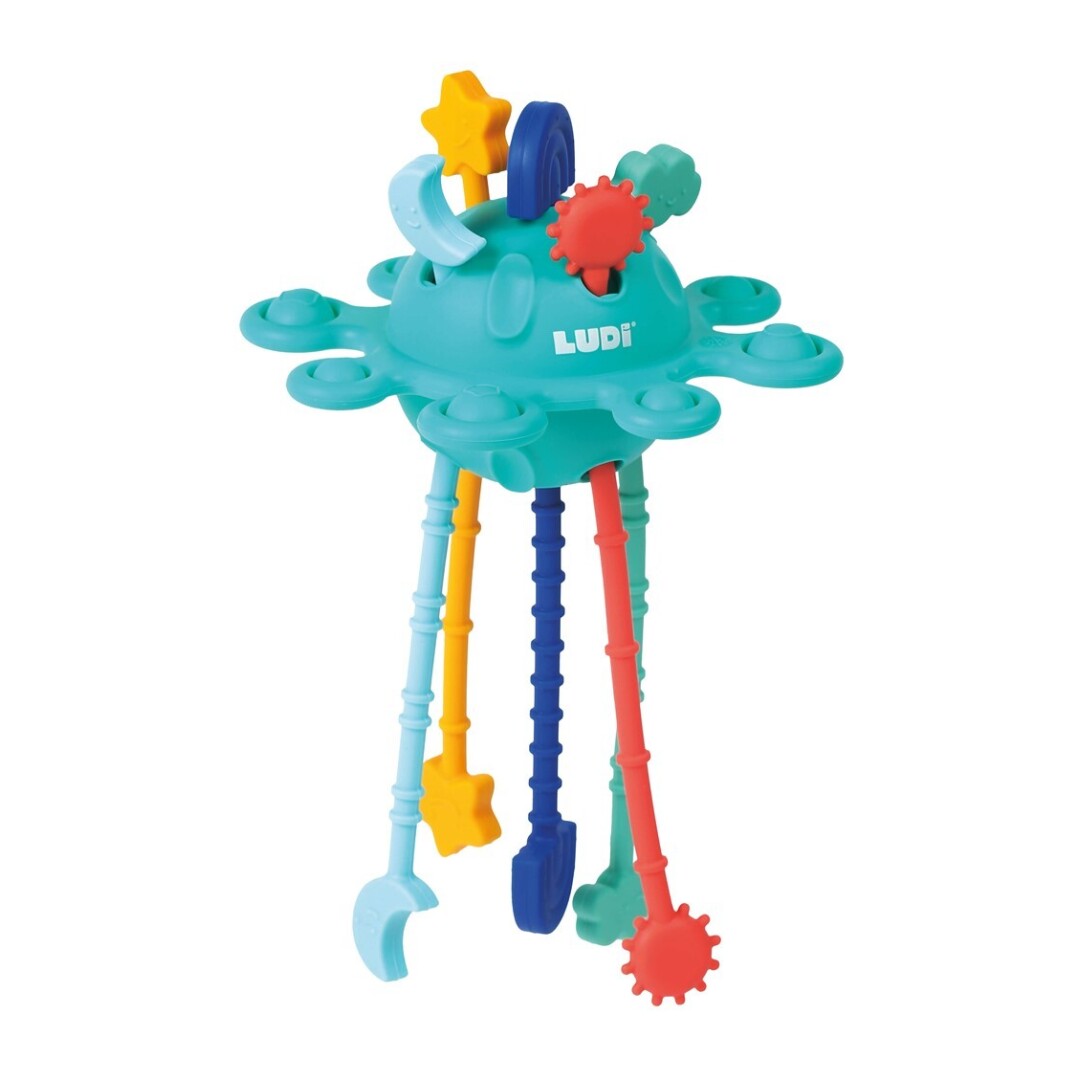 Ziptoy Mordedor Ludi