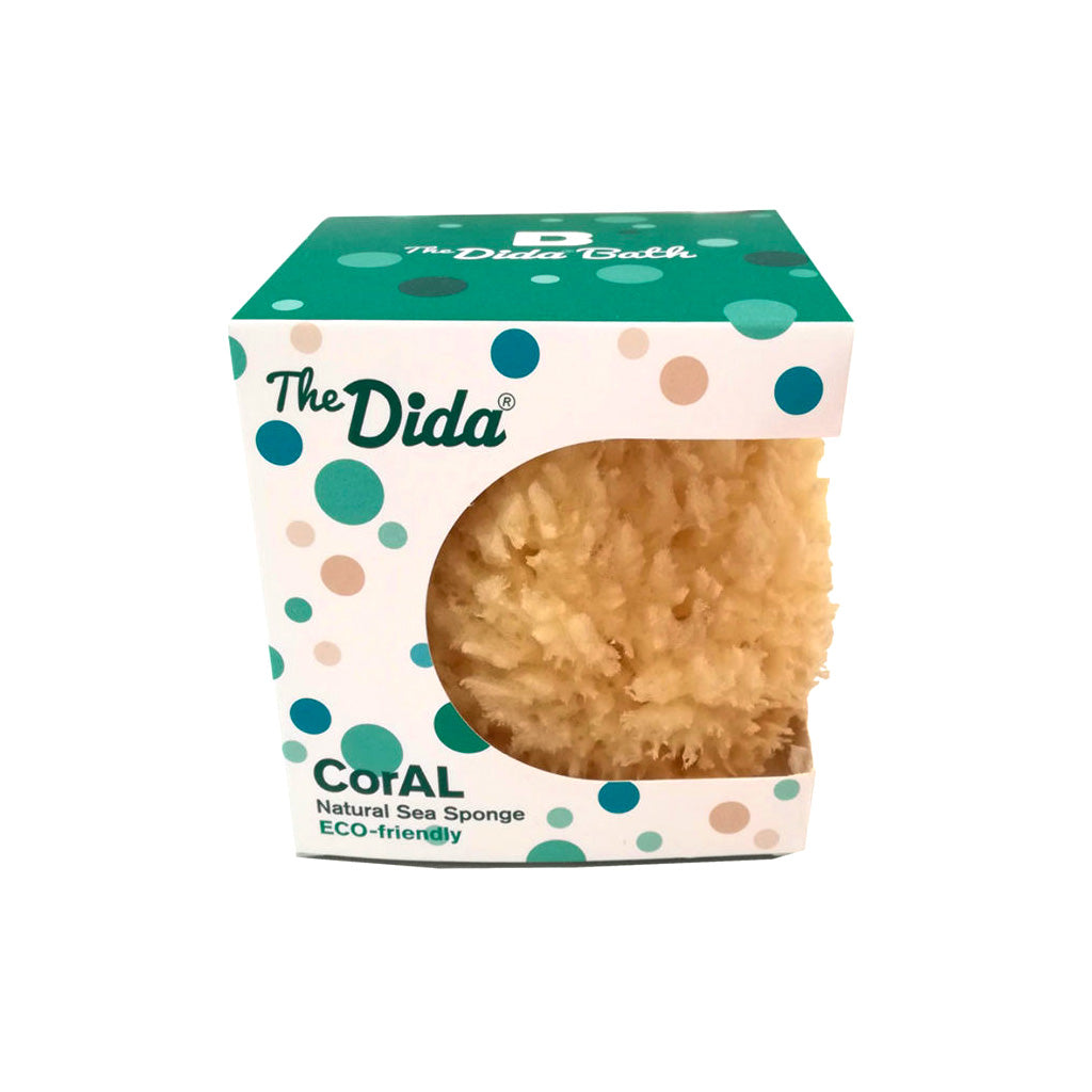 Esponja natural pequeña TheDida