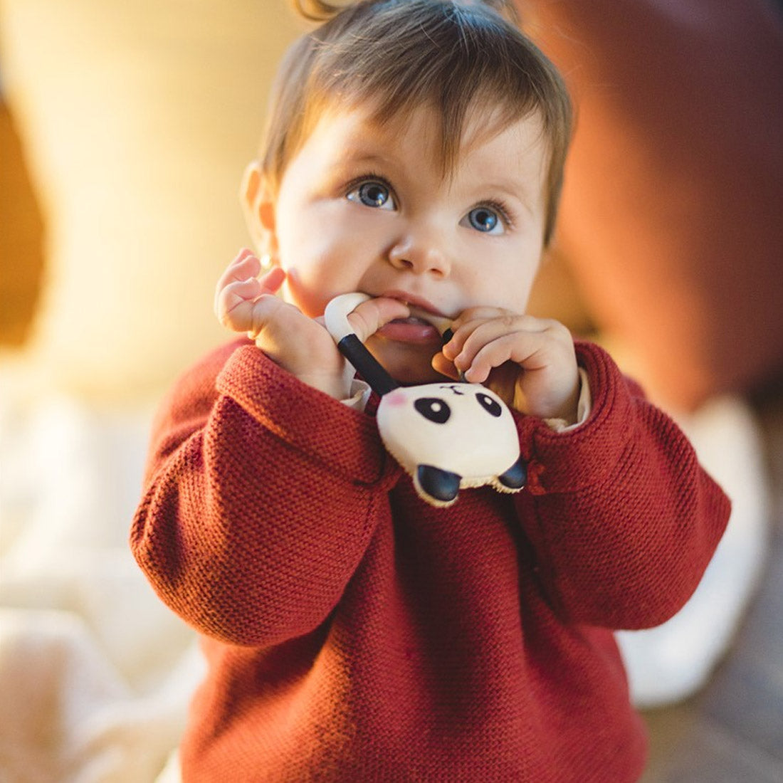 Mordedor Lanco Kori el Panda