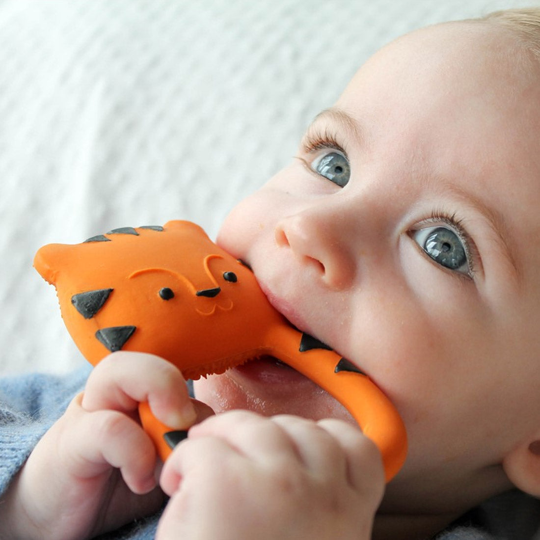 Mordedor Lanco Nalu el Tigre