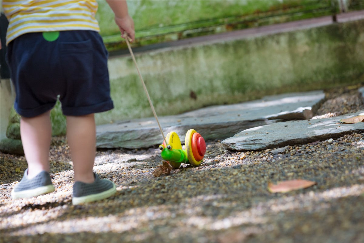 Caracol de paseo Plantoys