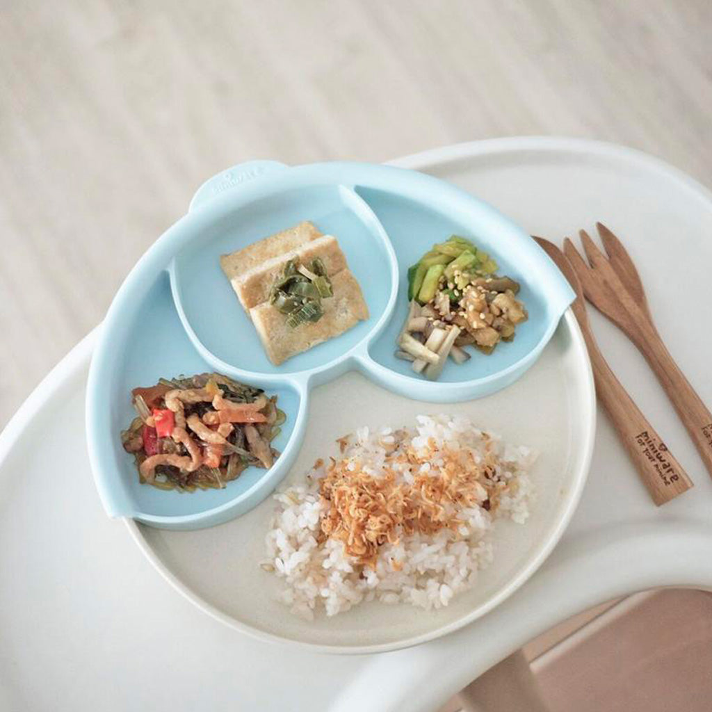 Asesoría personalizada de Alimentación Complementaria BLW