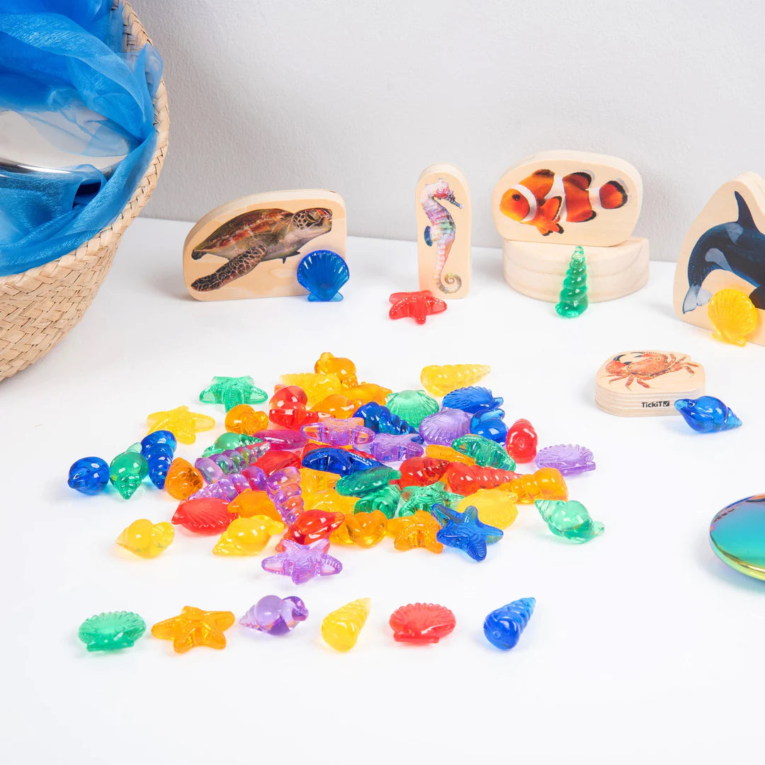 Conchas de color translúcidas - TickiT