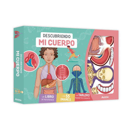 Descubriendo mi cuerpo. Tablero magnético