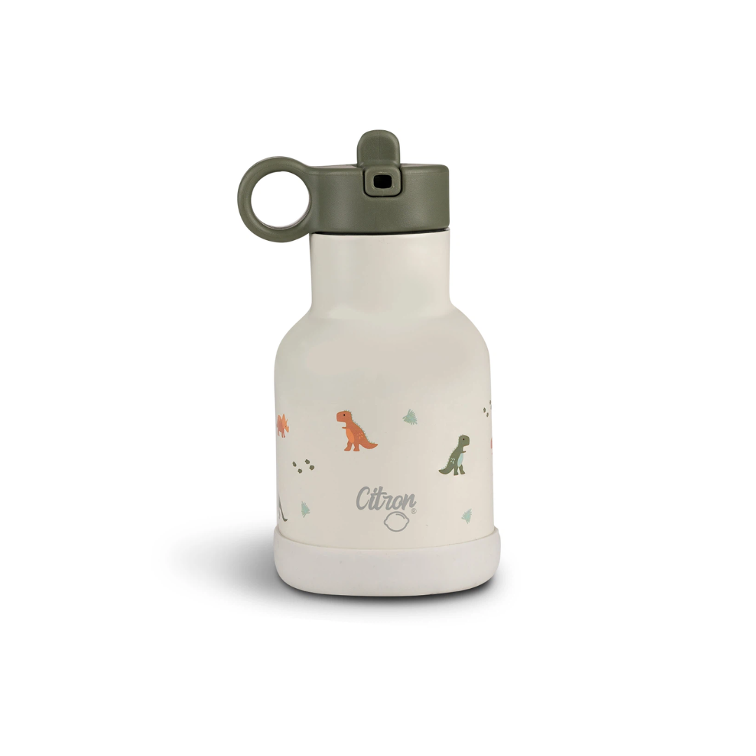 Botella acero inox 250ml Citron Dino