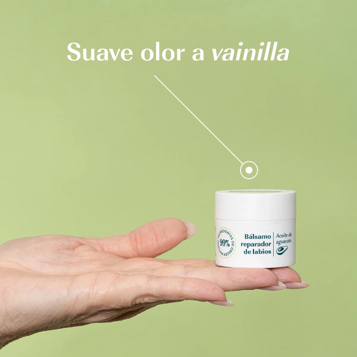 Bálsamo labial reparador con aguacate - Green Cornerss