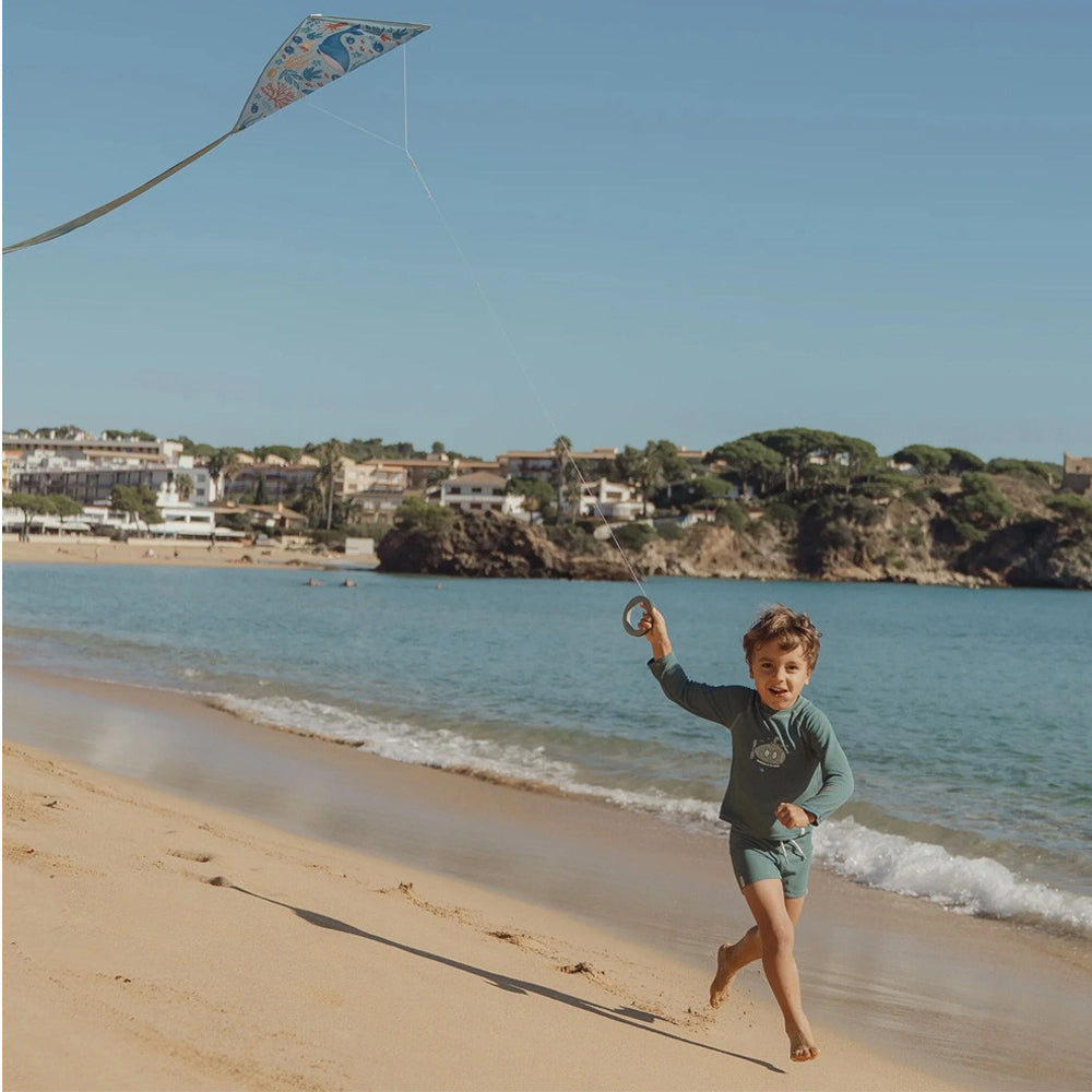 Cometa Little Dutch - Ocean World