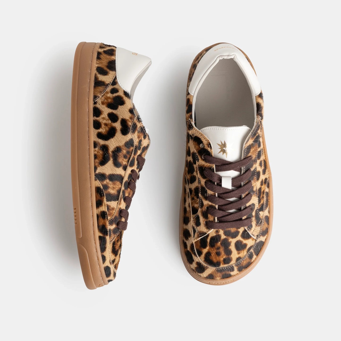 Venan Leopardo Koops