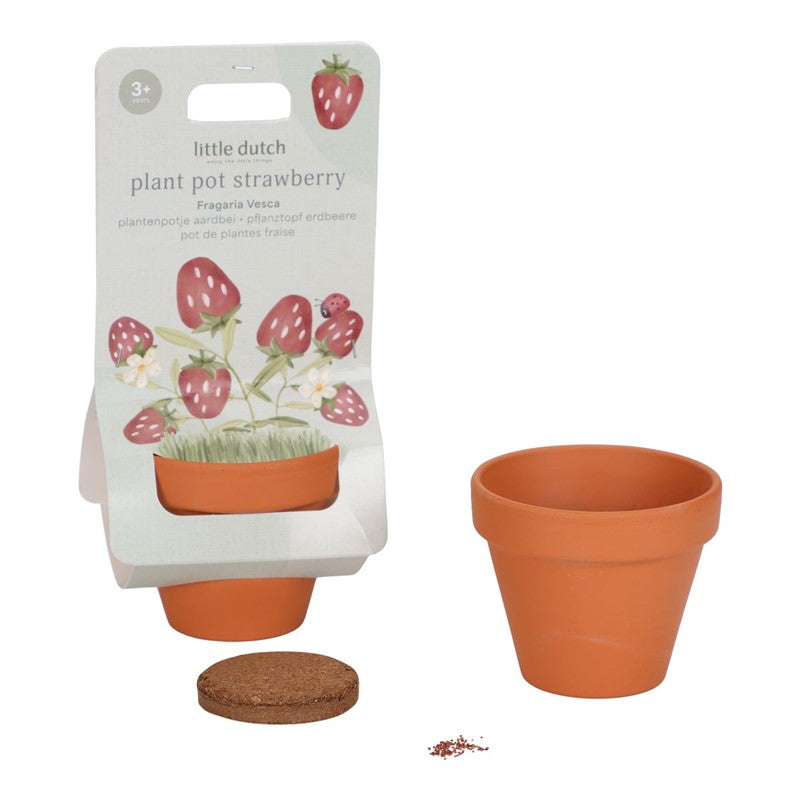 Maceta planta fresas Little Dutch