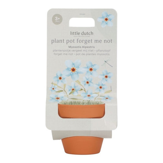 Maceta planta no me olvides Little Dutch